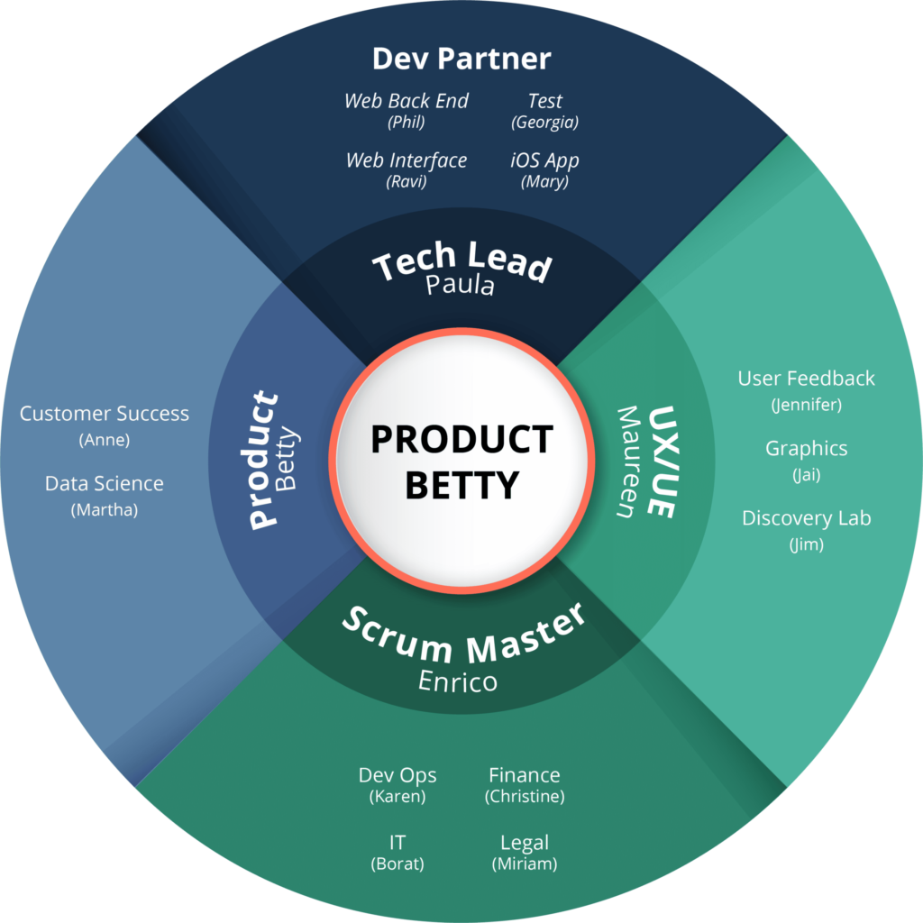 Building A Cross Functional Agile Team (2024) - McNally Consultants