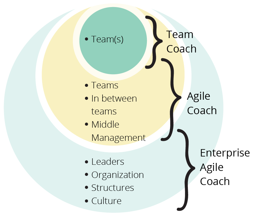 Coach the Coaches - Agile Leadership