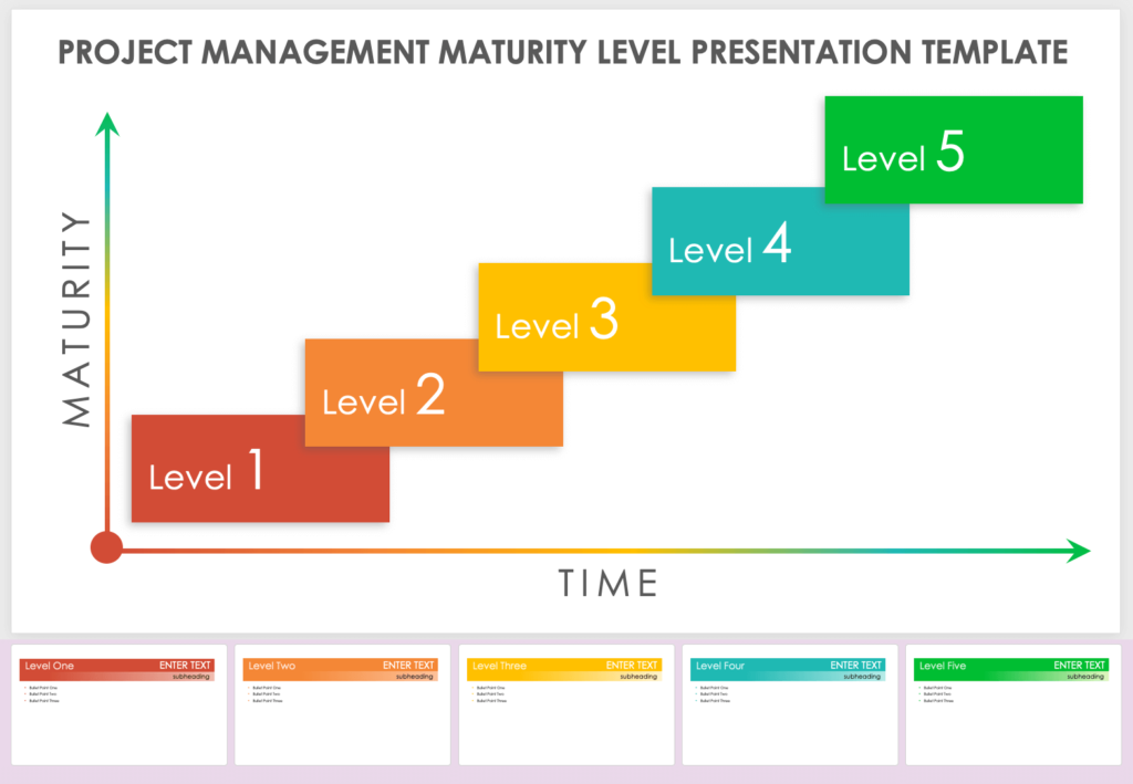 Understanding Project Management Maturity