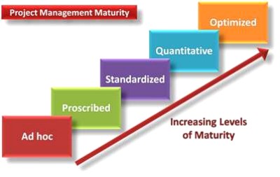 Understanding Project Management Maturity