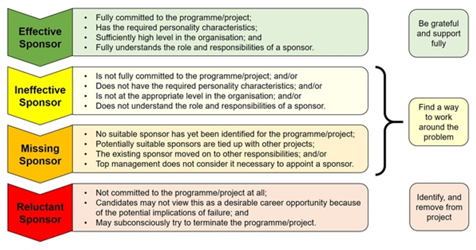 Understanding the Role of a Project Sponsor