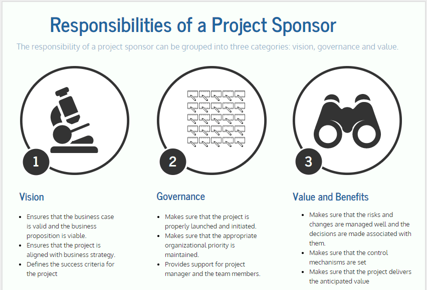 Understanding the Role of a Project Sponsor