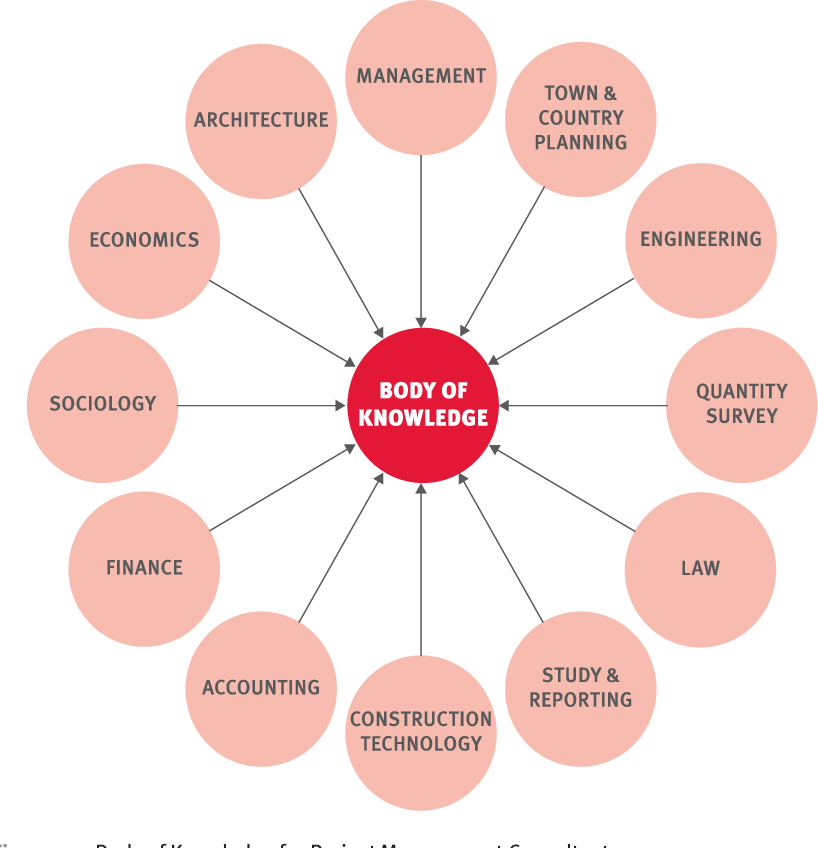 Exploring the Role of a Project Management Consultant