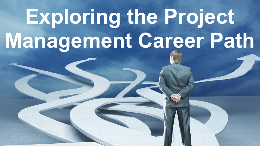 Exploring the Role of a Project Management Consultant